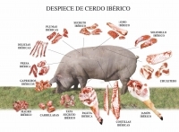 24/09/2012.- Die Geheimnisse des iberischen Schwein. Iberisches Fleisch Selektion